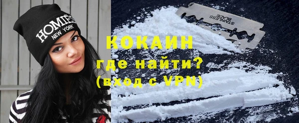 ECSTASY Алзамай
