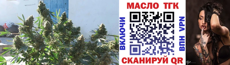 Купить  Плавск  ТГК THC oil 