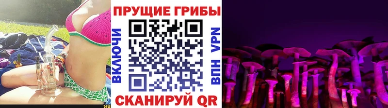 Купить  Плавск  Галлюциногенные грибы MAGIC MUSHROOMS 